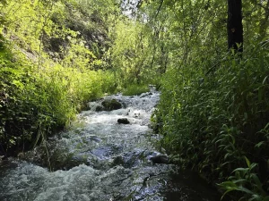mayhill 2